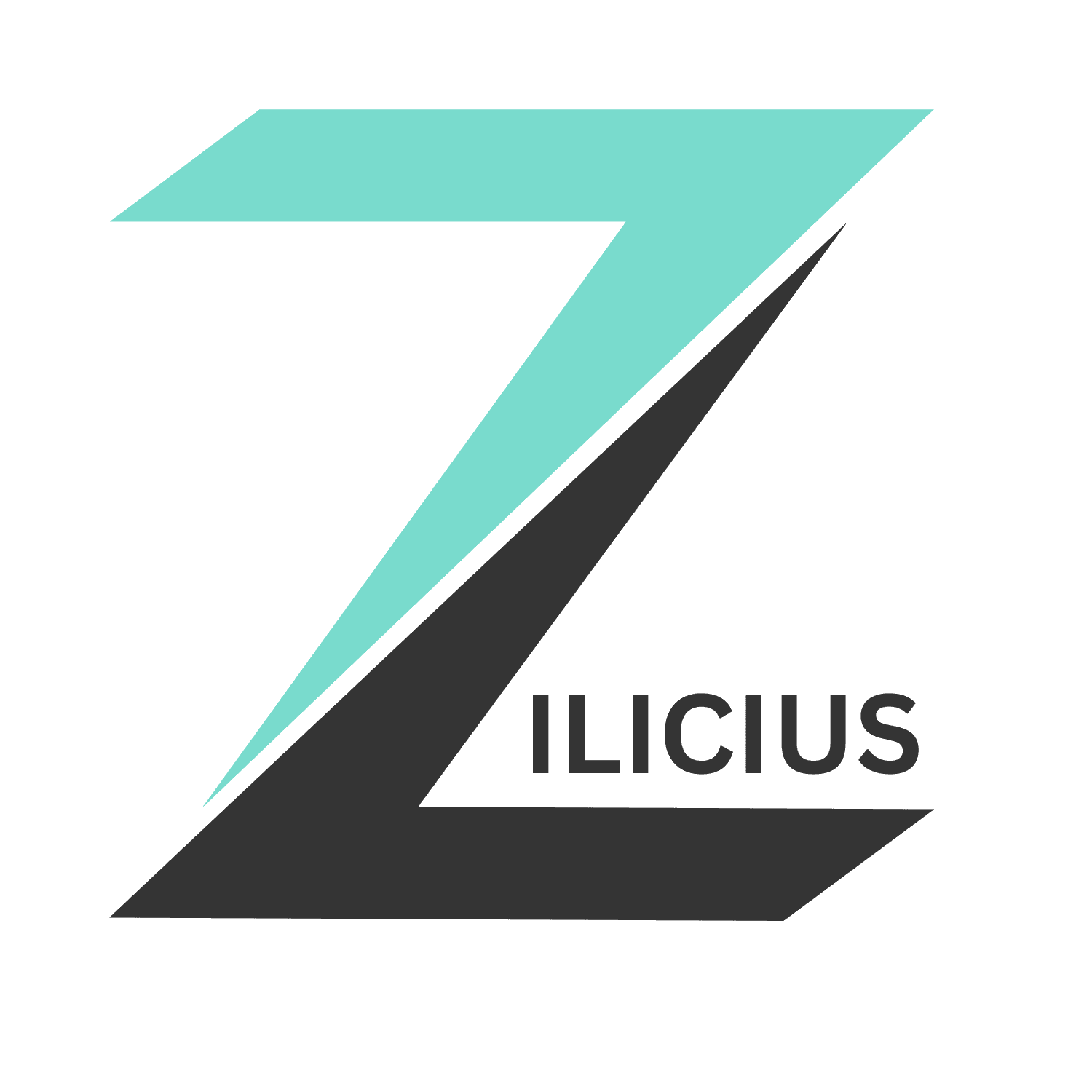 Zilicius Restaurant and Hotel POS